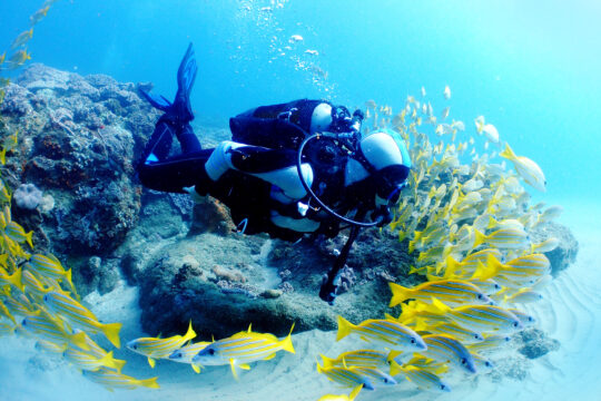 Key West Afternoon 2-Tank SCUBA Dive